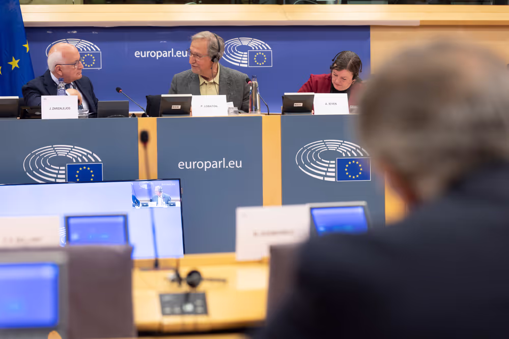 LIBE - Addressing the root causes of missing persons in the EU