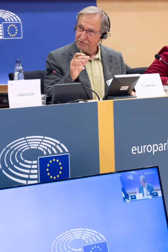 LIBE - Addressing the root causes of missing persons in the EU