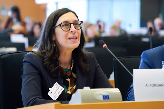 Fotografia 23: ITRE Committee meeting - Public Hearing