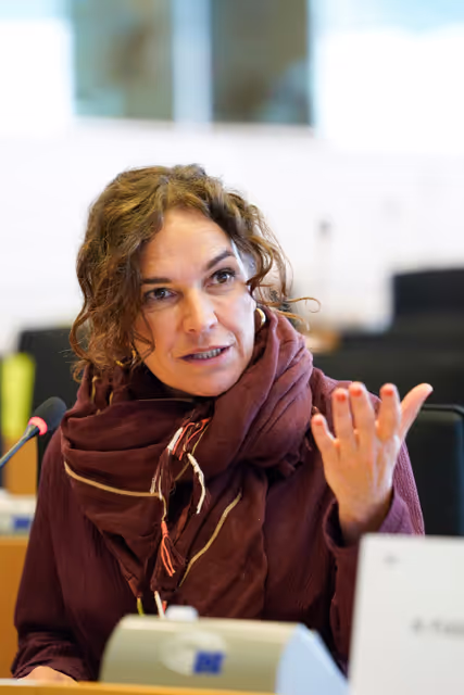 Fotografia 15: ITRE Committee meeting - Public Hearing