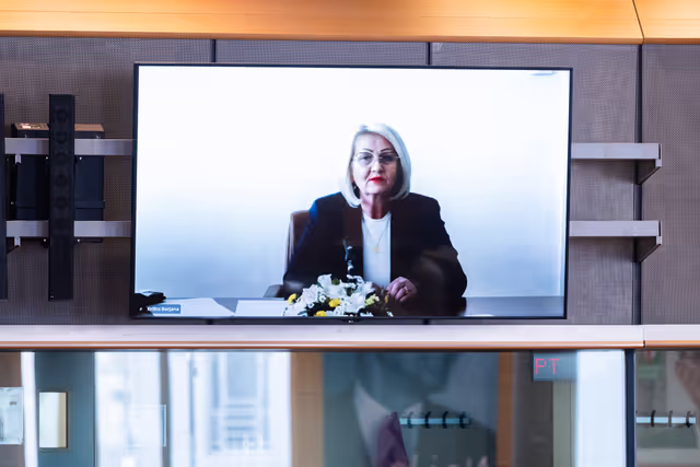 Fotografija 15: AFET - Exchange of views with Borjana Krišto, Chairwoman of the Council of Ministers of Bosnia and Herzegovina