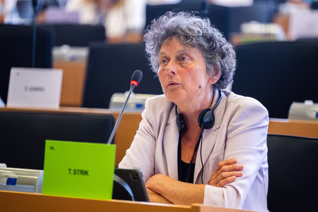 Fotografija 6: AFET - Exchange of views with Borjana Krišto, Chairwoman of the Council of Ministers of Bosnia and Herzegovina