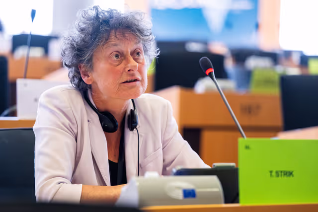 Fotografija 5: AFET - Exchange of views with Borjana Krišto, Chairwoman of the Council of Ministers of Bosnia and Herzegovina