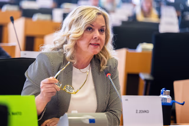 Fotografija 1: AFET - Exchange of views with Borjana Krišto, Chairwoman of the Council of Ministers of Bosnia and Herzegovina