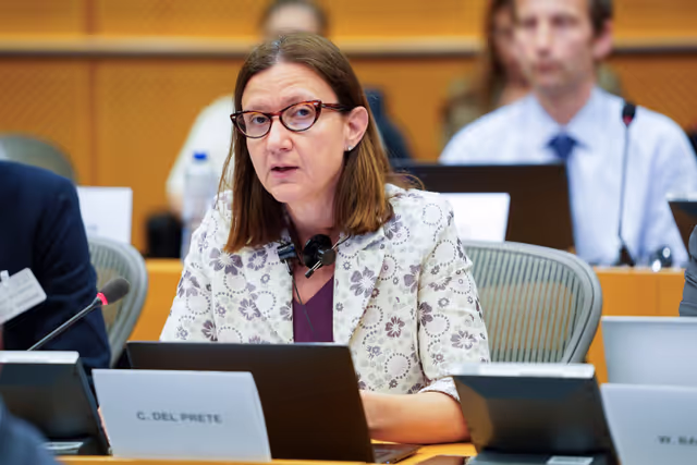 Fotografie 4: JURI - Policy Department presentation of the study on Reporting obligations - Public hearing on reporting obligations