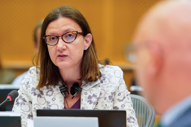 Fotografie 2: JURI - Policy Department presentation of the study on Reporting obligations - Public hearing on reporting obligations