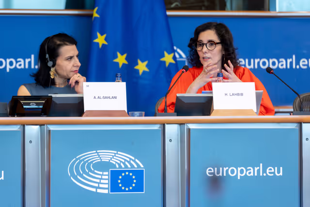 Photo 4: DEVE - Exchange of views with Commissioner Hadja LAHBIB