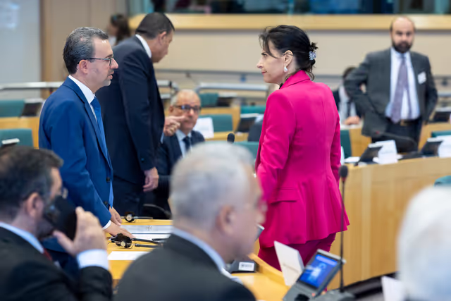 Foto 16: EU-Iraq Interparliamentary meeting