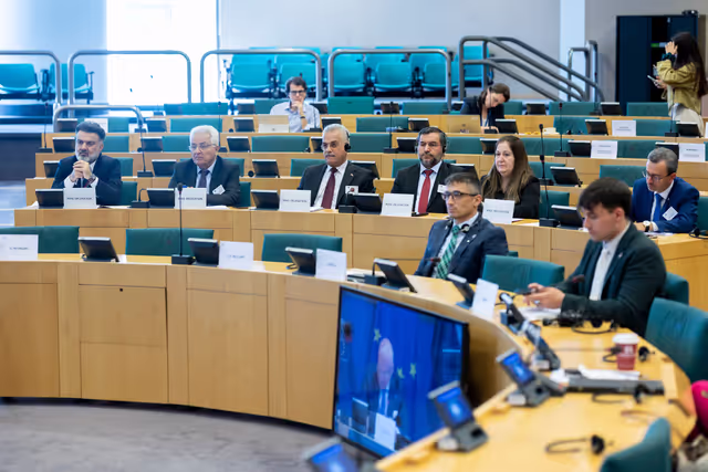 Foto 6: EU-Iraq Interparliamentary meeting