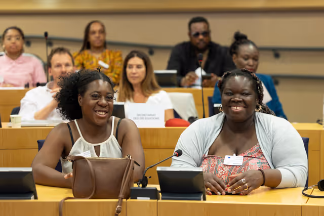 Zdjęcie 37: Delegation to the Africa-EU Parliamentary Assembly extraordinary meeting - Exchange of views on the sustainable management of Raw Materials in the Democratic Republic of Congo (DRC)