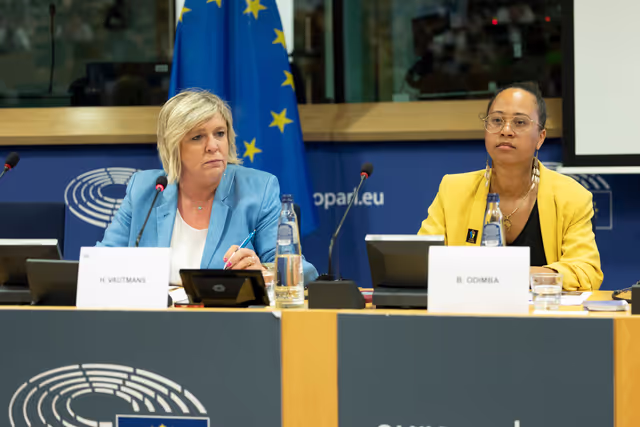 Zdjęcie 34: Delegation to the Africa-EU Parliamentary Assembly extraordinary meeting - Exchange of views on the sustainable management of Raw Materials in the Democratic Republic of Congo (DRC)