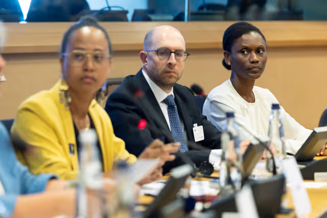 Zdjęcie 27: Delegation to the Africa-EU Parliamentary Assembly extraordinary meeting - Exchange of views on the sustainable management of Raw Materials in the Democratic Republic of Congo (DRC)