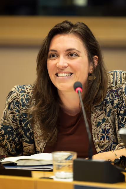 Zdjęcie 26: Delegation to the Africa-EU Parliamentary Assembly extraordinary meeting - Exchange of views on the sustainable management of Raw Materials in the Democratic Republic of Congo (DRC)