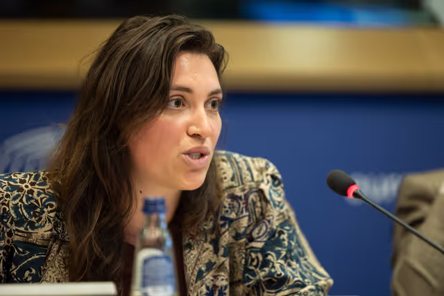 Zdjęcie 24: Delegation to the Africa-EU Parliamentary Assembly extraordinary meeting - Exchange of views on the sustainable management of Raw Materials in the Democratic Republic of Congo (DRC)