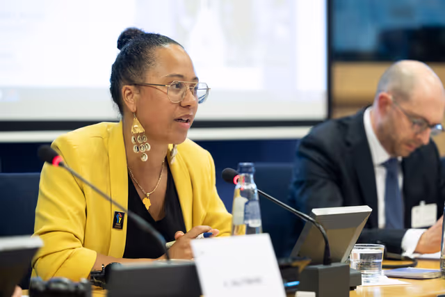 Zdjęcie 14: Delegation to the Africa-EU Parliamentary Assembly extraordinary meeting - Exchange of views on the sustainable management of Raw Materials in the Democratic Republic of Congo (DRC)