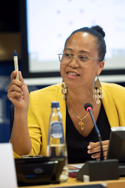 Zdjęcie 13: Delegation to the Africa-EU Parliamentary Assembly extraordinary meeting - Exchange of views on the sustainable management of Raw Materials in the Democratic Republic of Congo (DRC)