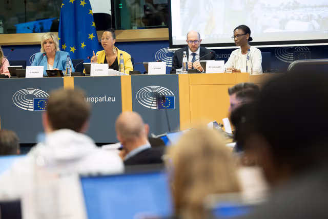 Zdjęcie 9: Delegation to the Africa-EU Parliamentary Assembly extraordinary meeting - Exchange of views on the sustainable management of Raw Materials in the Democratic Republic of Congo (DRC)