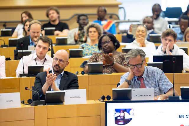 Zdjęcie 8: Delegation to the Africa-EU Parliamentary Assembly extraordinary meeting - Exchange of views on the sustainable management of Raw Materials in the Democratic Republic of Congo (DRC)