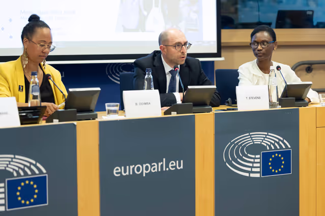 Zdjęcie 4: Delegation to the Africa-EU Parliamentary Assembly extraordinary meeting - Exchange of views on the sustainable management of Raw Materials in the Democratic Republic of Congo (DRC)
