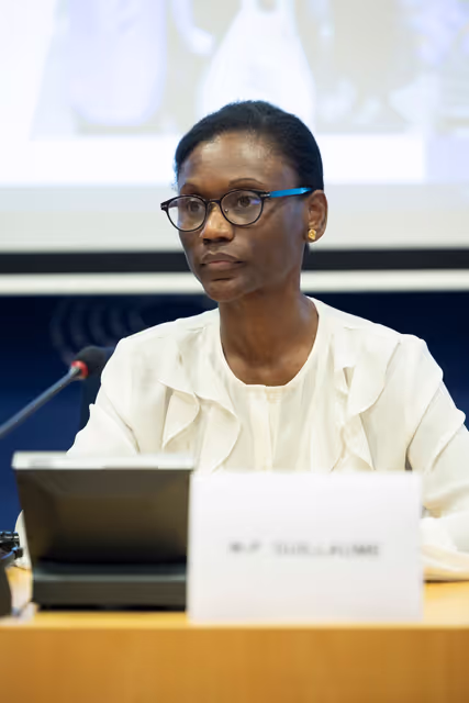 Zdjęcie 5: Delegation to the Africa-EU Parliamentary Assembly extraordinary meeting - Exchange of views on the sustainable management of Raw Materials in the Democratic Republic of Congo (DRC)