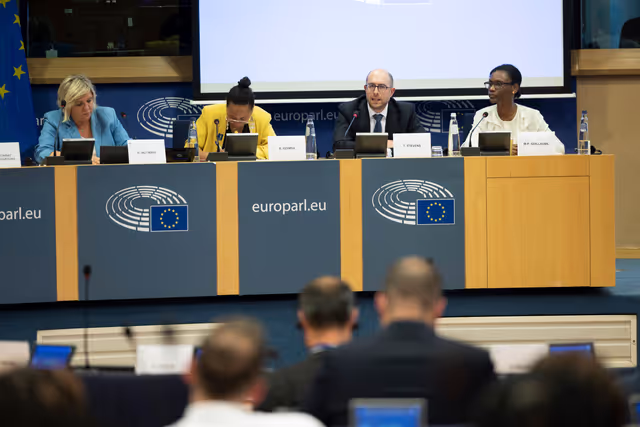 Zdjęcie 1: Delegation to the Africa-EU Parliamentary Assembly extraordinary meeting - Exchange of views on the sustainable management of Raw Materials in the Democratic Republic of Congo (DRC)
