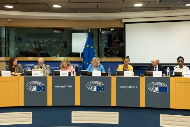 Delegation to the Africa-EU Parliamentary Assembly extraordinary meeting - Exchange of views on the sustainable management of Raw Materials in the Democratic Republic of Congo (DRC)