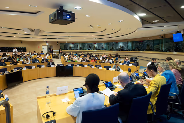 Zdjęcie 30: Delegation to the Africa-EU Parliamentary Assembly extraordinary meeting - Exchange of views on the sustainable management of Raw Materials in the Democratic Republic of Congo (DRC)