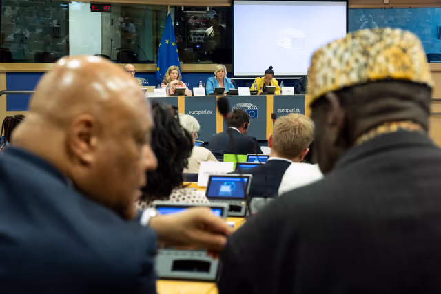 Zdjęcie 28: Delegation to the Africa-EU Parliamentary Assembly extraordinary meeting - Exchange of views on the sustainable management of Raw Materials in the Democratic Republic of Congo (DRC)