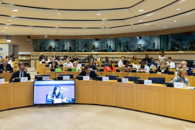 Zdjęcie 19: Delegation to the Africa-EU Parliamentary Assembly extraordinary meeting - Exchange of views on the sustainable management of Raw Materials in the Democratic Republic of Congo (DRC)