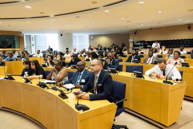 Zdjęcie 18: Delegation to the Africa-EU Parliamentary Assembly extraordinary meeting - Exchange of views on the sustainable management of Raw Materials in the Democratic Republic of Congo (DRC)