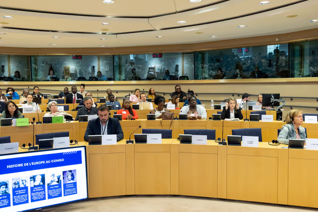 Zdjęcie 10: Delegation to the Africa-EU Parliamentary Assembly extraordinary meeting - Exchange of views on the sustainable management of Raw Materials in the Democratic Republic of Congo (DRC)