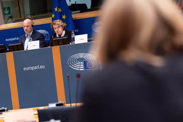 BUDG - Partial renewal of Members of the Court of Auditors - Hearing of Ivana Maletic, candidate nominated by Croatia