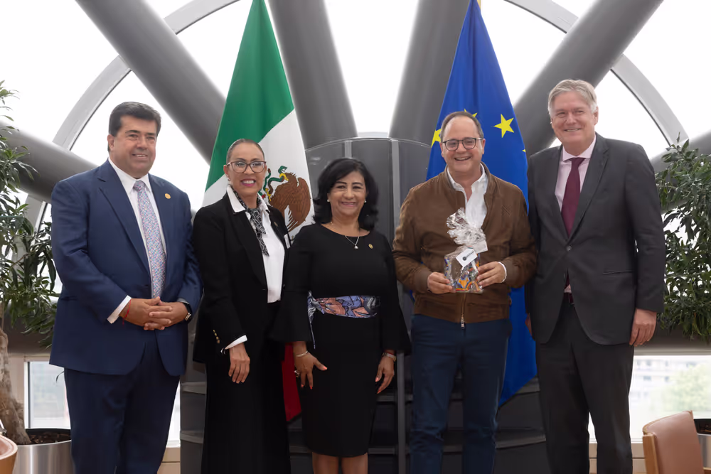 31st EU-Mexico Joint Parliamentary Committee meeting