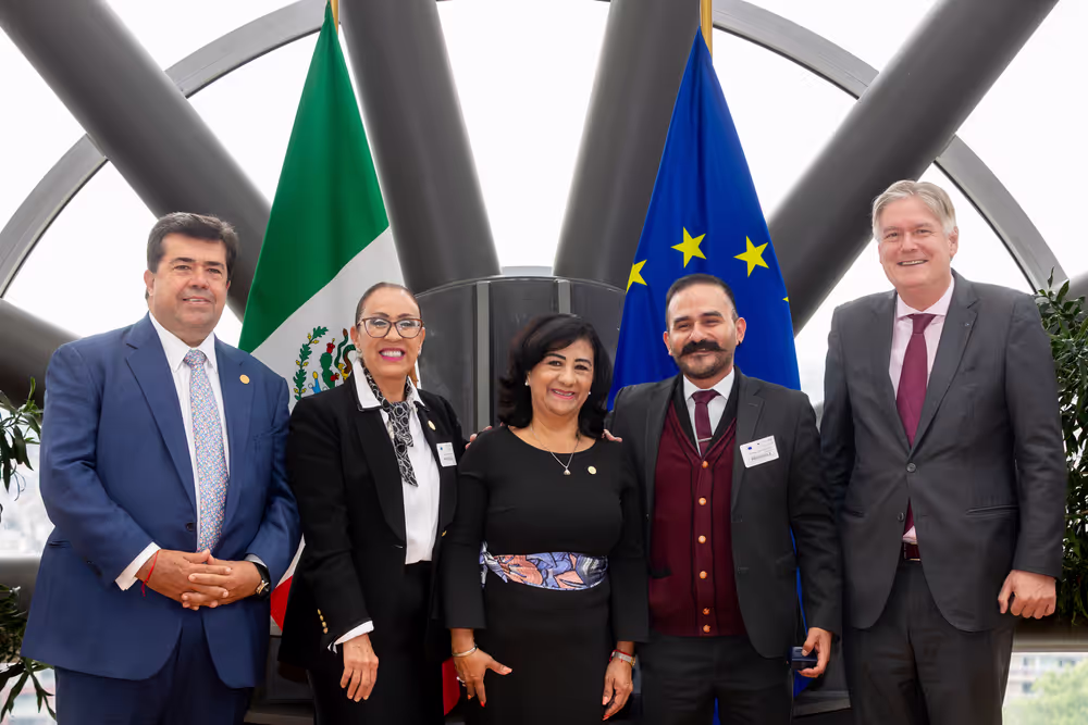 31st EU-Mexico Joint Parliamentary Committee meeting