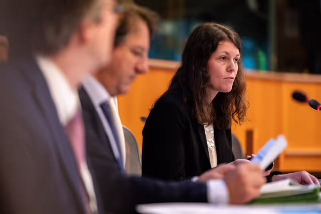 Снимка 10: FISC - Workshop on ' Tax incentives and investments in the EU: best practices and ways to stimulate private investments and prevent harmful tax practices '