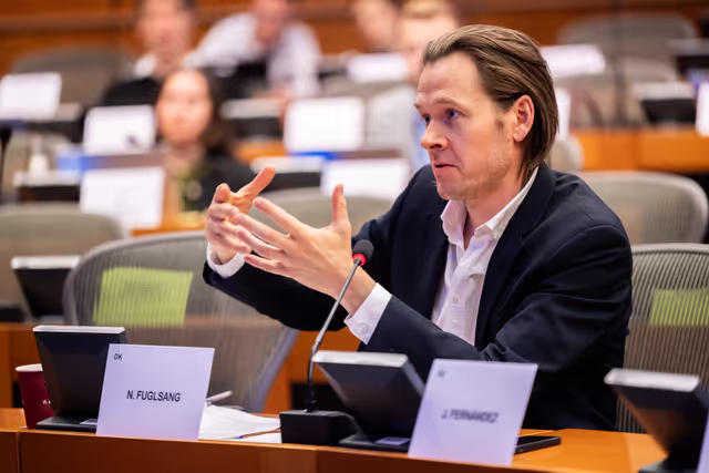 Снимка 7: FISC - Workshop on ' Tax incentives and investments in the EU: best practices and ways to stimulate private investments and prevent harmful tax practices '