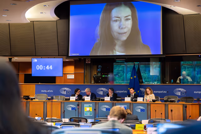 Fotagrafa 13: FISC - Public hearing on ' The future of EU anti-avoidance tax rules, including simplification '