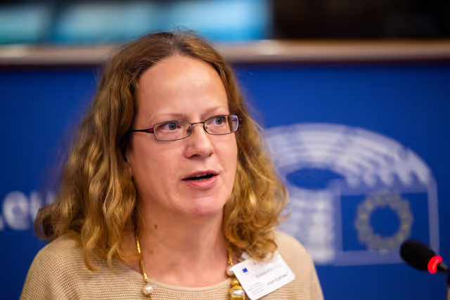 Fotagrafa 8: FISC - Public hearing on ' The future of EU anti-avoidance tax rules, including simplification '