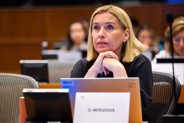 Fotagrafa 3: FISC - Public hearing on ' The future of EU anti-avoidance tax rules, including simplification '