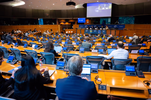 Fotagrafa 17: FISC - Public hearing on ' The future of EU anti-avoidance tax rules, including simplification '