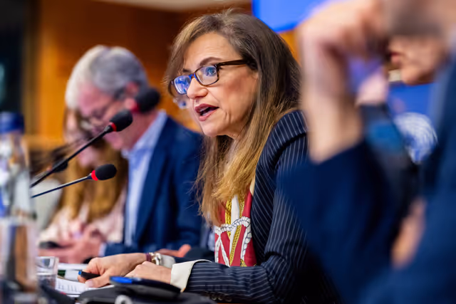 Снимка 16: FISC - Public hearing on ' The implementation of the 2 Pillar framework in view of international developments and the EU-US relations '