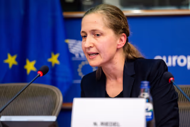 Снимка 11: FISC - Public hearing on ' The implementation of the 2 Pillar framework in view of international developments and the EU-US relations '