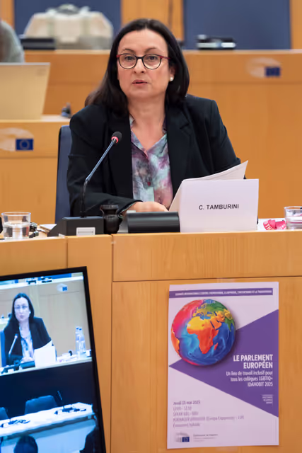 Fotagrafa 29: IDAHOBIT 2025 - The European Parliament: An inclusive workplace for all our LGBTIQ+ colleagues