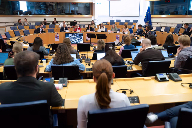 Fotagrafa 27: IDAHOBIT 2025 - The European Parliament: An inclusive workplace for all our LGBTIQ+ colleagues