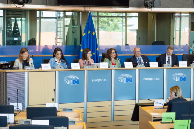 Φωτογραφία 15: FEMM Committee - Istanbul Convention - presentation by GREVIO (Group of Experts on Action against Violence against Women and Domestic Violence)