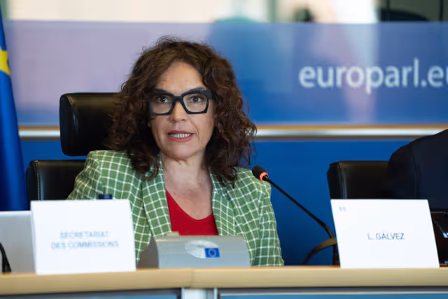 Φωτογραφία 16: FEMM Committee - Istanbul Convention - presentation by GREVIO (Group of Experts on Action against Violence against Women and Domestic Violence)