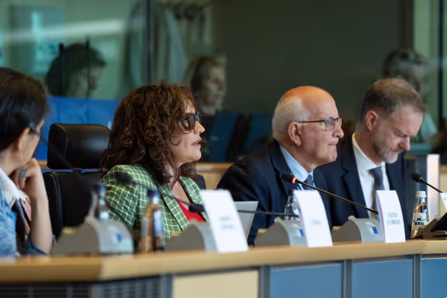 Φωτογραφία 14: FEMM Committee - Istanbul Convention - presentation by GREVIO (Group of Experts on Action against Violence against Women and Domestic Violence)