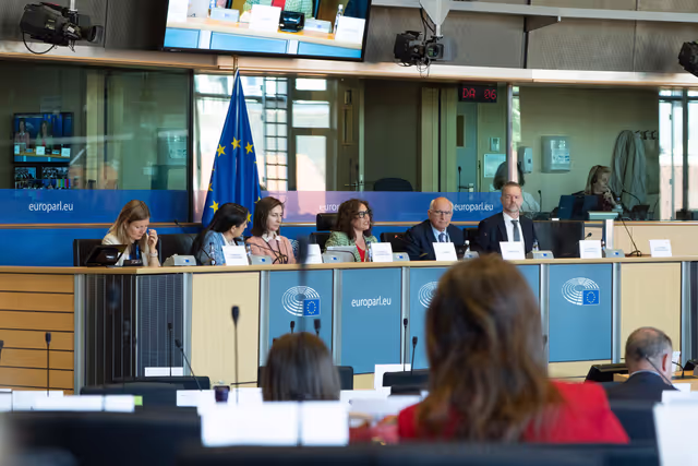 Φωτογραφία 13: FEMM Committee - Istanbul Convention - presentation by GREVIO (Group of Experts on Action against Violence against Women and Domestic Violence)