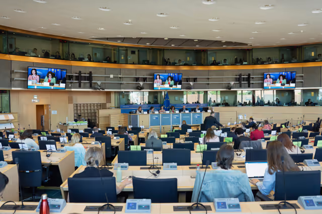 Φωτογραφία 12: FEMM Committee - Istanbul Convention - presentation by GREVIO (Group of Experts on Action against Violence against Women and Domestic Violence)