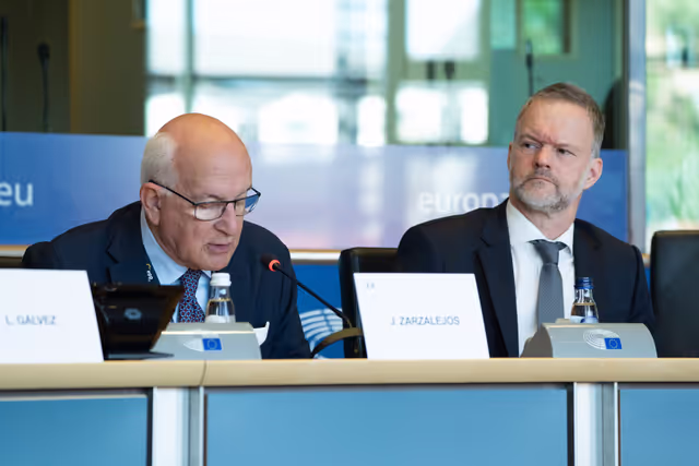 Φωτογραφία 11: FEMM Committee - Istanbul Convention - presentation by GREVIO (Group of Experts on Action against Violence against Women and Domestic Violence)